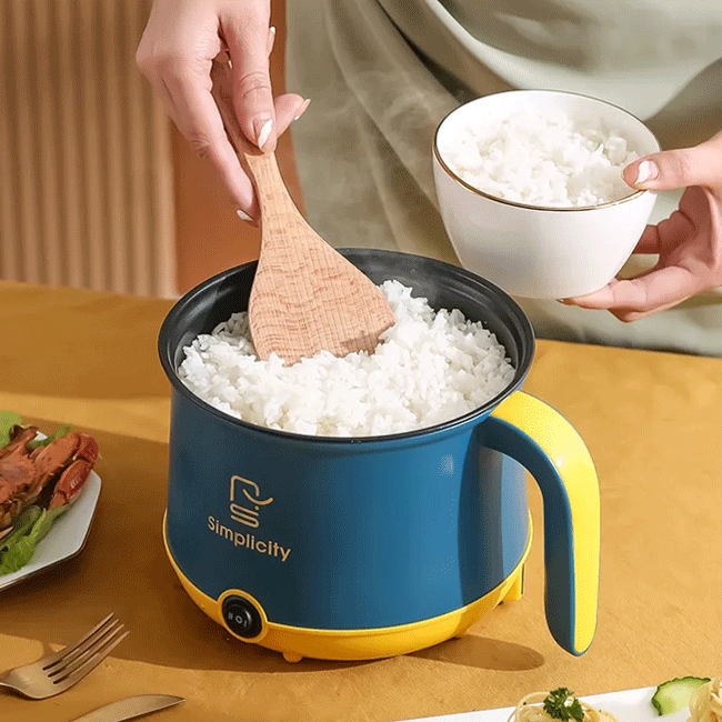 Simplicity Mini Electric Cooker